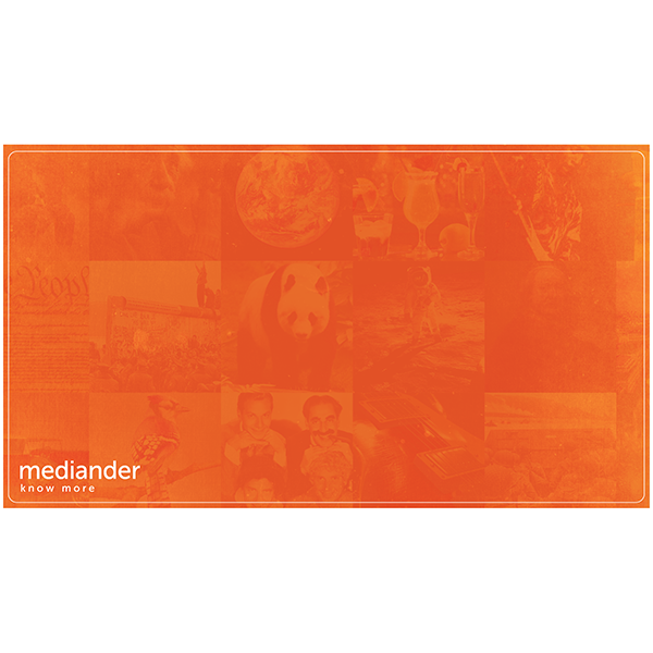 Mediander Presentation Graphic-Click to Download